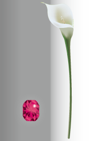 ひと粒の宝石 ルビー