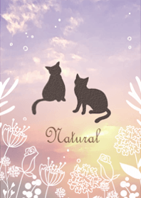 The sky, flowers, and cats11.