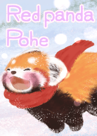 Red panda Pohe / Winter 3
