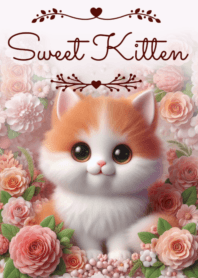 Sweet Kitten No.447