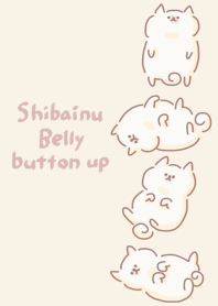 belly button up white Shiba Inu beige