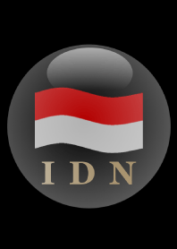 IDN 3
