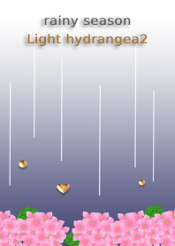 rainy season<Light hydrangea2>