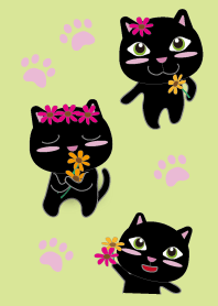 Spring Black Cat Theme.