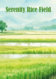 Serenity Rice Field