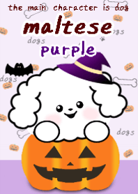Halloween maltese theme purple