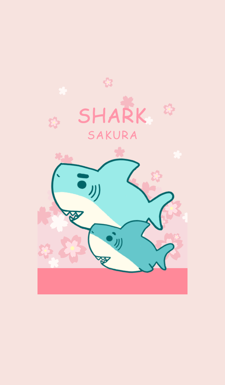 misty cat-sakura shark