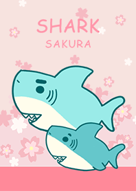 サメ さくら 春