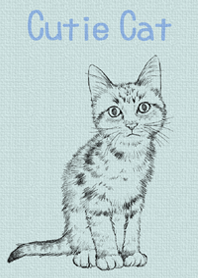 癒しの猫