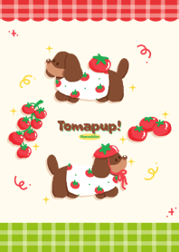 Tomapup! | Tomato Vibes