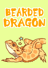 Bearded Dragon