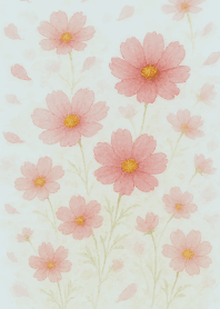 Cosmos flower on blue