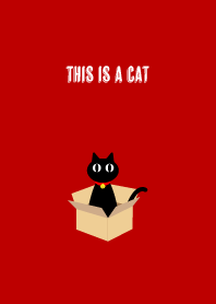 This is a cat on red & beige