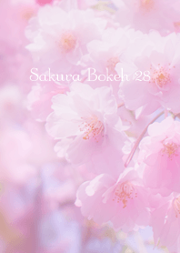 SakuraBokeh 28