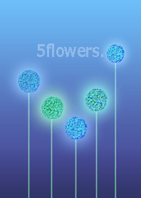 ５フラワーズ＊