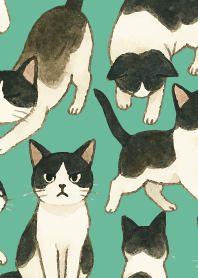 tuxedo cats06 on blue green