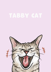 tabbycat4 / periwinkle