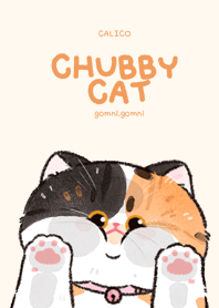 Chubby Cat : Calico