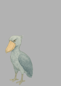 I am a shoebill on white JP