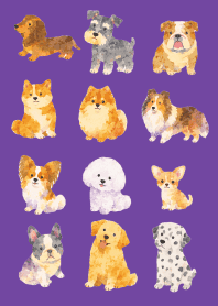 Is my dog here? 03 purple
