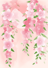 盛開的櫻桃樹