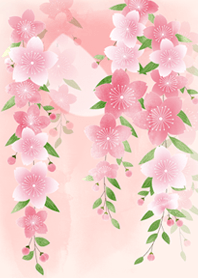 桜咲く！
