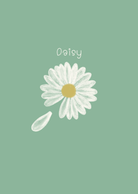 Flower daisy Daisy Flower: