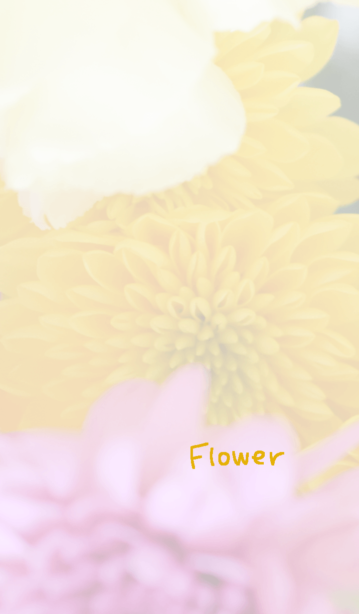 Colorful flower Theme 2