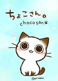 Cat appealing with eyes-choco-