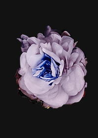 The flowers.B