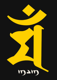BONJI zodiac [maM] BLACK YELLOW (0658