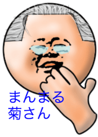 「まんまる菊さん」