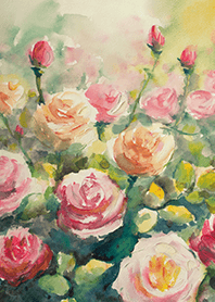 Beautiful rose flower(R4432)