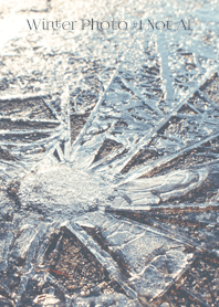 Winter Photo #1-2 Not AI