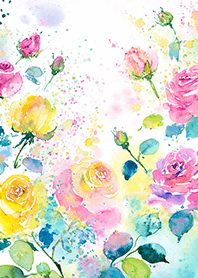 Beautiful rose flower(R4796)