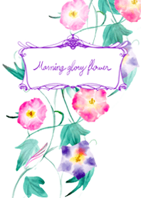 Morning glory flower