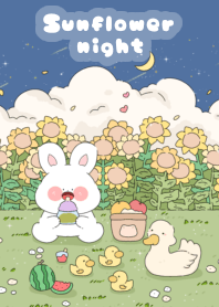 sunflower nights