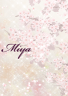 Miya Sakura Beautiful