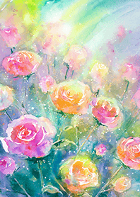 Beautiful rose flower(R2323)