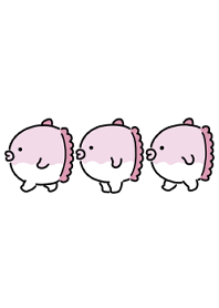 cute little pink sunfish