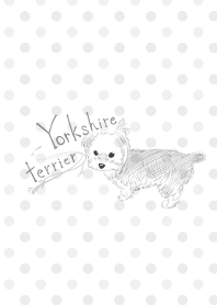 Yorkshire terrier-Monochrome-