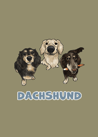 dachshund5 / olive