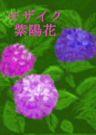 モザイク紫陽花
