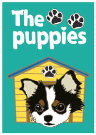 The puppies(2)