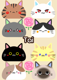 Tai Scandinavian cute cat4