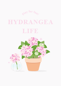 Hydrangea Life ! (Pink) Flower