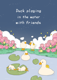 Water duck