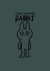 ちょっと生意気かもしれないうさぎ