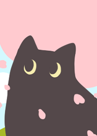 AYS Cats enjoy cherry blossom