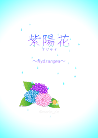 @marin_dxAQUA ©marin_dx 紫陽花 03